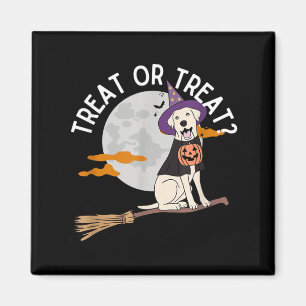 Süßes oder Saures Lustiger Hund Halloween Magnet