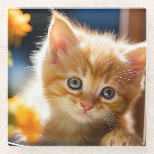 Süßes orangefarbenes Tabby-Kätzchen Glasuntersetzer