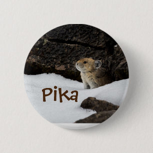 Süßes Pika im Schnee Foto Button