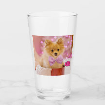 Süßes Pomeranian-Welpe Glas