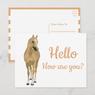 Süßes Pony Western Aquarell Pferd Hallo Postkarte