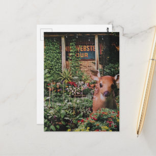 Süßes Reh im Garten Collage Postkarte