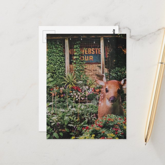 Süßes Reh im Garten Collage Postkarte (Vorderseite/Rückseite Beispiel)