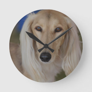 Süßes Saluki Runde Wanduhr