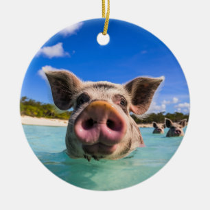 Süßes schwimmendes Schwein Exuma Bahamas Keramik Ornament