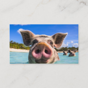 Süßes schwimmendes Schwein Exuma Bahamas Visitenkarte
