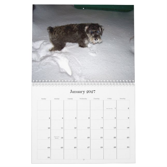 süßes sHAMUS durch das dayZ Kalender (Jan 2027)