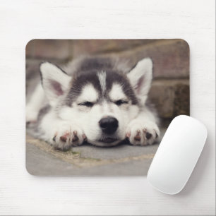 Süßes Sibirisches Husky Welpenschläfchen Mousepad