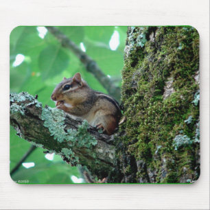 Süßes Streifenhörnchen in Baum Bekleidung und Gesc Mousepad