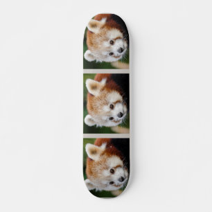 Süßes Tier Rotes Panda Skateboard