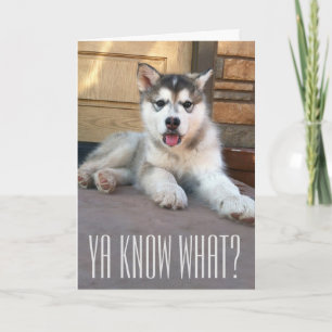 Süßes-Vermisse-Dich Alaskan Malamute Welpen-Fotogr Karte
