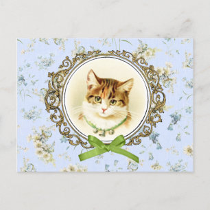 Süßes vintage Katzenporträt Postkarte