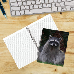 Süßes Waldwaschbär-Wildlife-Foto-Notizbuch Notizbuch