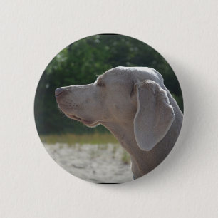 Süßes Weimaraner Hundeprofil Button