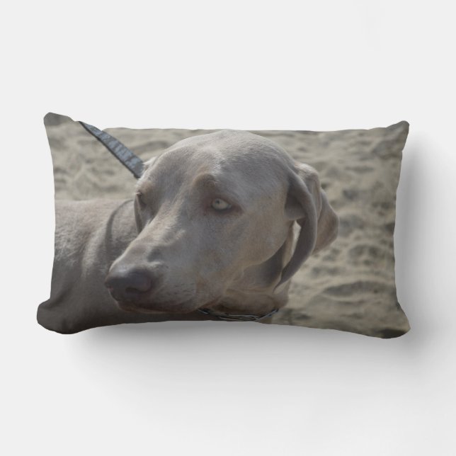 Süßes Weimaraner Lendenkissen (Vorderseite)