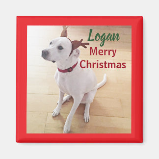 Süßes weißes Rentier-Hundebaby-Foto Weihnachten Magnet