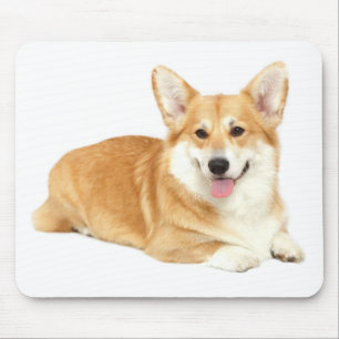 Süßes Welpen-Hund-Liebhaber-Geschenk Pembroke Wels Mousepad
