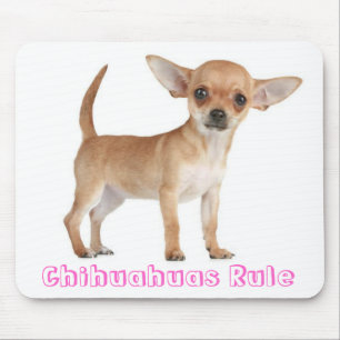 Süßes Welpen-Hundemama-Geschenk Lustiger Chihuahua Mousepad