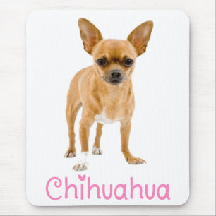 Süßes Welpen-Hundliebhaber-Geschenk Lustiger Chihu Mousepad