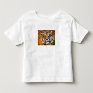 Süßes Wildes-Tiger-Foto-T-Shirt für Kleinkinder Kleinkind T-shirt