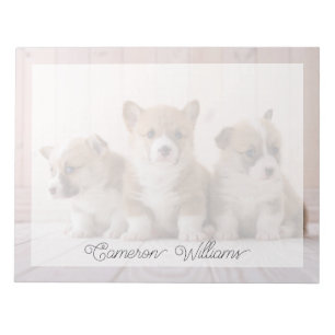 Süßeste Babytierchen 3 Baby Corgis Notizblock