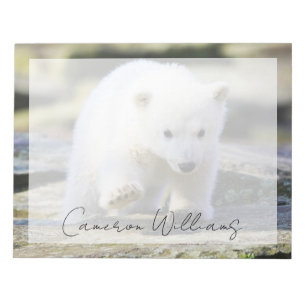 Süßeste Babytierchen   Eisbärjunges Notizblock
