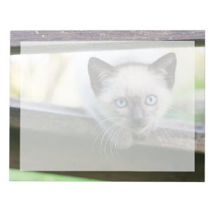 Süßeste Babytierchen Siamese Kätzchen 2 Notizblock