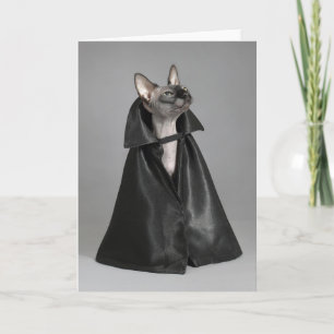 Süßeste Babytierchen   Sphynx haarlose Katze Karte