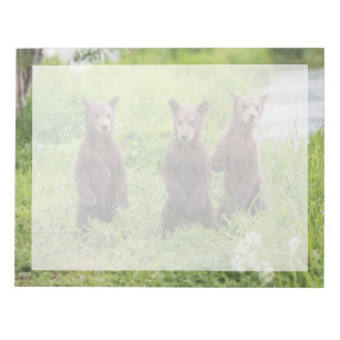 Süßeste Babytiere   Kamtschatka-Braunbärenjunge Notizblock