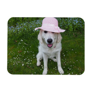 süßester Hund in der Welt Magnet