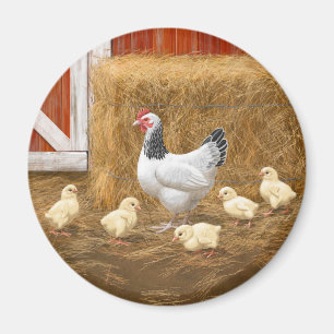 Sussex Chicken Mama Hen und Chicks Magnet
