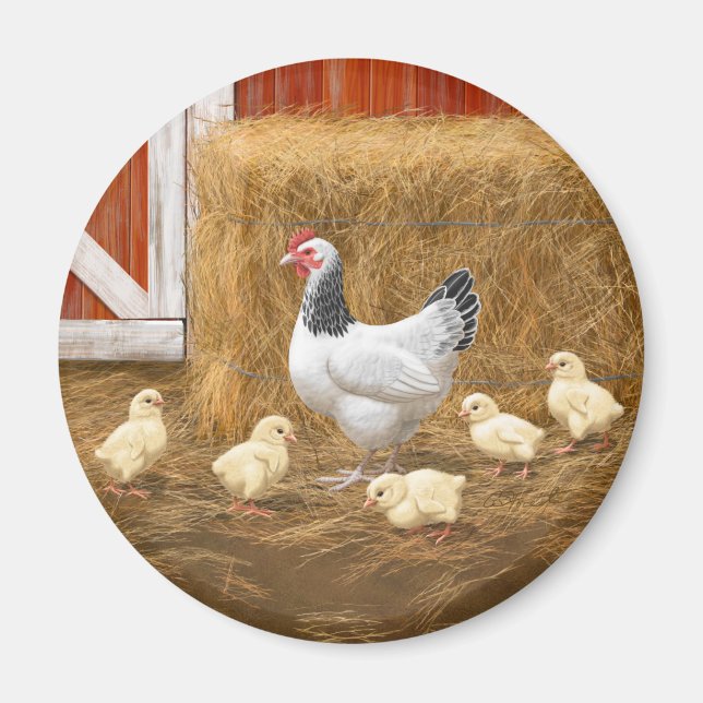Sussex Chicken Mama Hen und Chicks Magnet (Vorne)