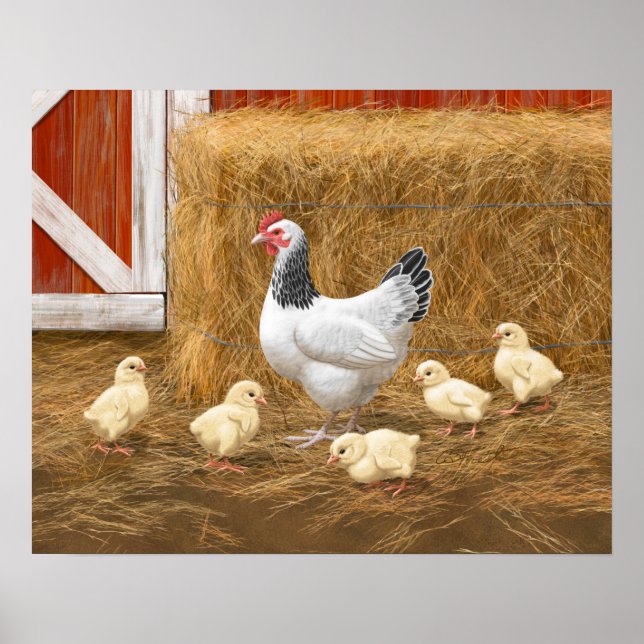 Sussex Chicken Mama Hen und Chicks Poster (Vorne)