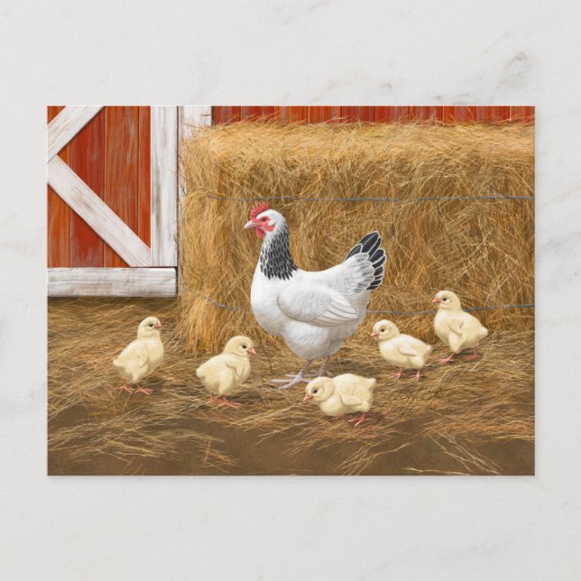 Sussex Chicken Mama Hen und Chicks Postkarte (Vorderseite)