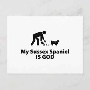 Sussex Spanel Postkarte