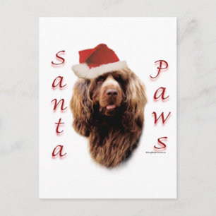 Sussex Spanel Santa Paws Feiertagspostkarte