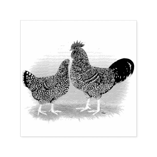 Sussex Sunrise Permastempel (Design)