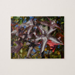Süßgumblätter im Herbst Puzzle