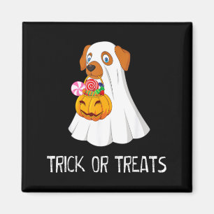 Süßigkeiten Lustiger Geist Hund Niedlich Halloween Magnet