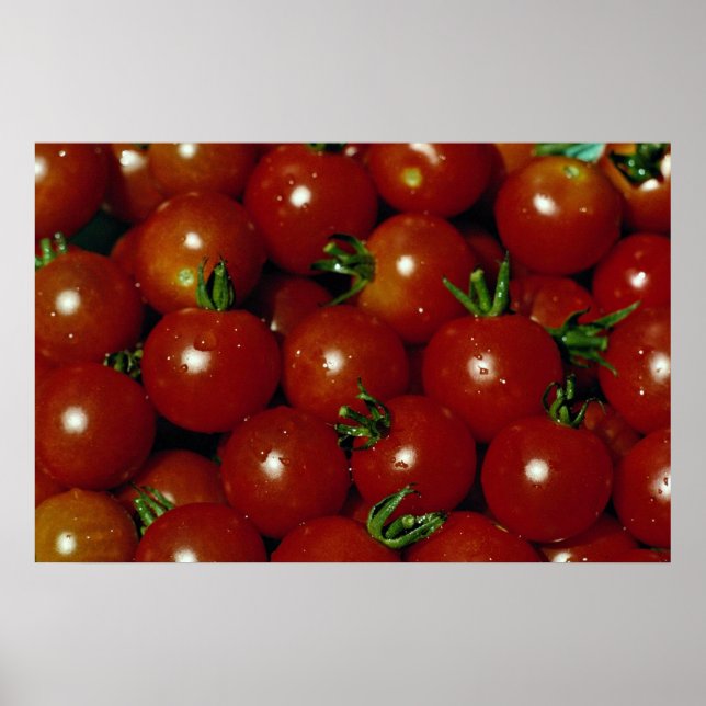 Süßkirschtomaten Poster (Vorne)