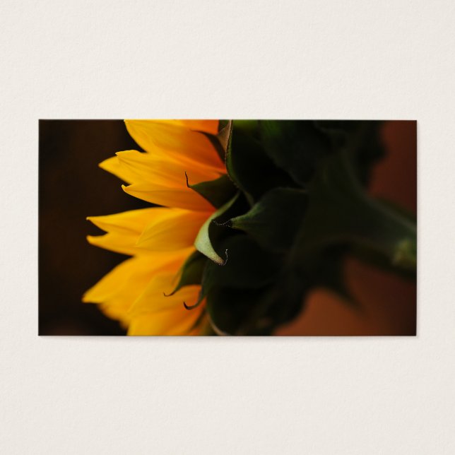 Süßnote (Sonnenblume) (Vorderseite)