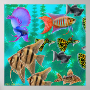 Süßwasser Aquarium Fischposter Poster