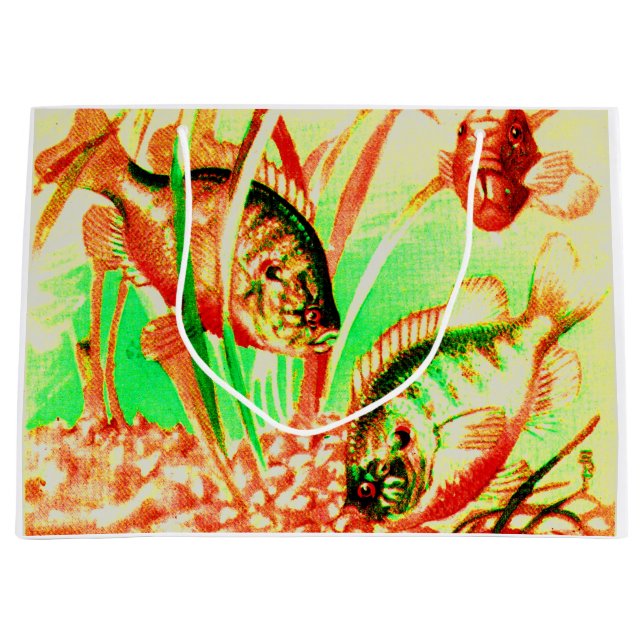 Süßwassersonnenfisch Große Geschenktüte (Vorderseite)