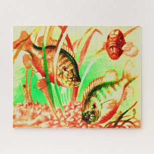 Süßwassersonnenfisch Puzzle
