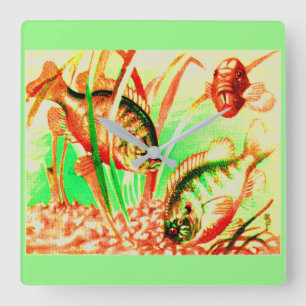 Süßwassersonnenfisch Quadratische Wanduhr