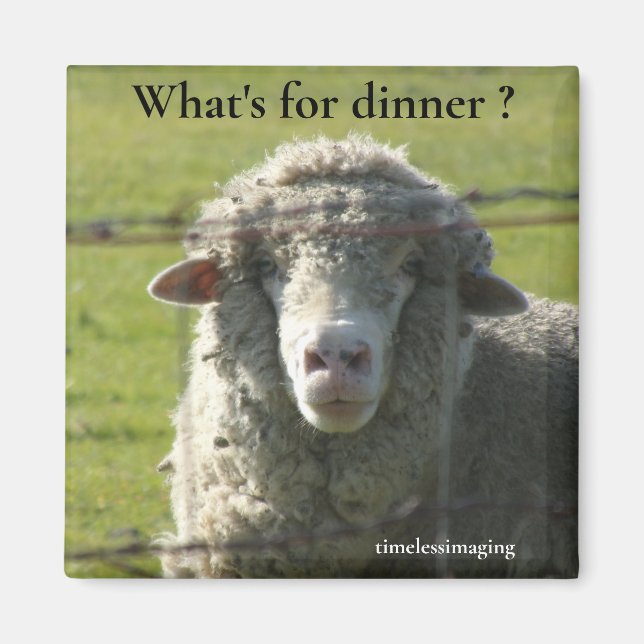 Sutter Buttes Mountain Range die Schafe Foto. Magnet (Vorne)