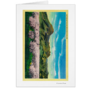 Sutter Buttes und Obstgärten in der Blüte