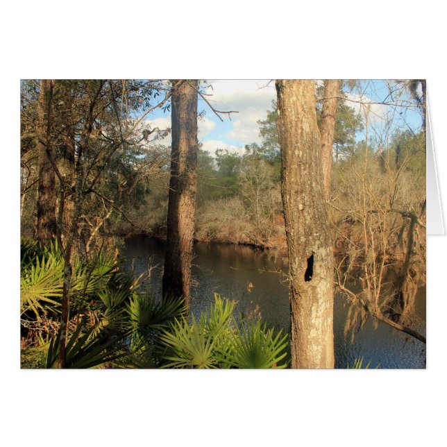 Suwanee River, Big Shoals Staat Park, Florida (Vorderseite (Horizontal))
