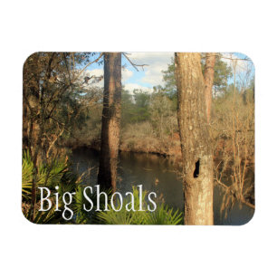 Suwanee River, Big Shoals Staat Park, Florida Magnet