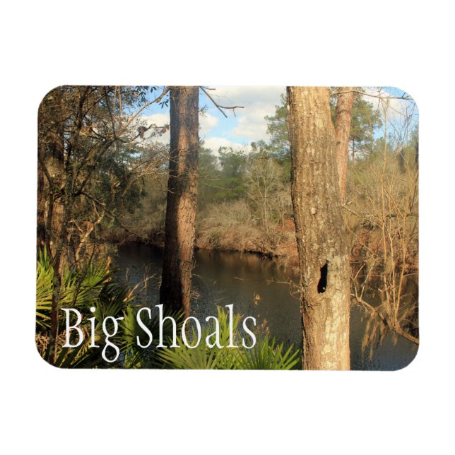 Suwanee River, Big Shoals Staat Park, Florida Magnet (Horizontal)